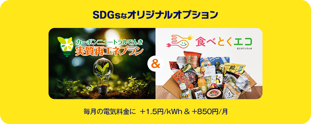 SDGsなオリジナルオプション 毎月の電気料金に ＋1.5円/kWh & +850円/月