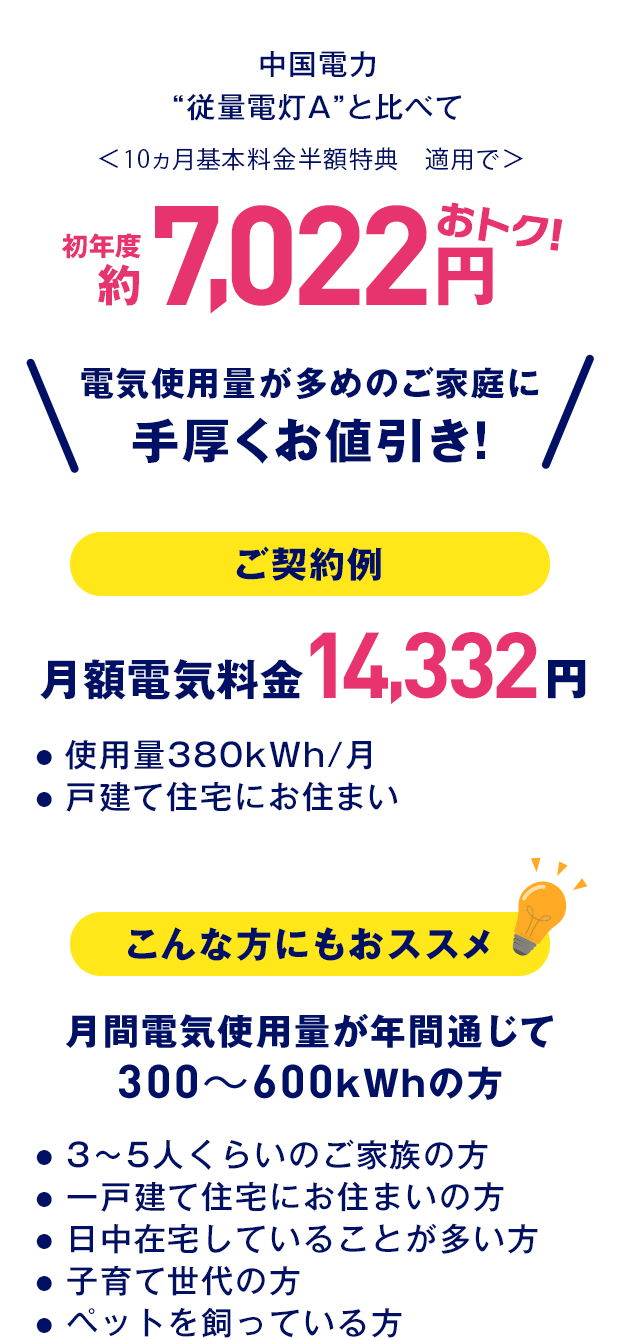 エネワンバリュー詳細