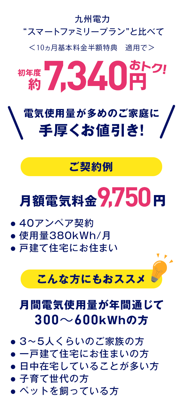 エネワンバリュー詳細