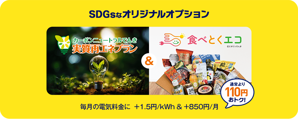 SDGsなオリジナルオプション 毎月の電気料金に ＋1.5円/kWh & +850円/月