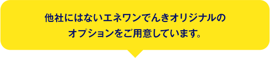 他社にはないエネワンでんきオリジナルのオプションをご用意しています。