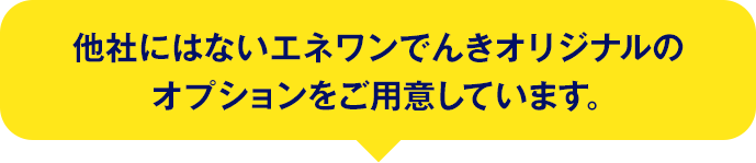 他社にはないエネワンでんきオリジナルのオプションをご用意しています。