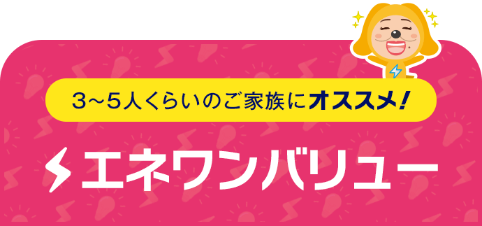 3～5人くらいのご家族にオススメ！ エネワンバリュー