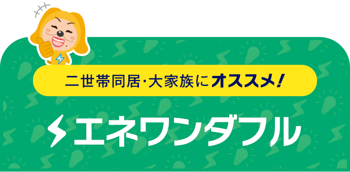 二世帯同居・大家族にオススメ！ エネワンダフル