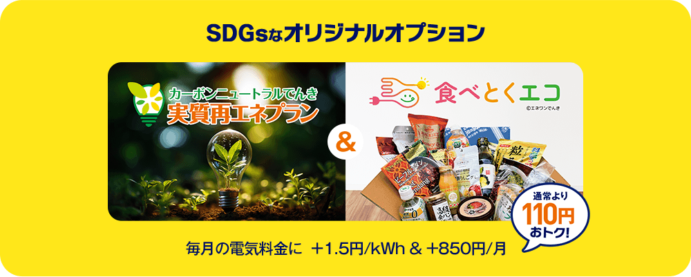 SDGsなオリジナルオプション 毎月の電気料金に +1.5円/kWh & +850円/月