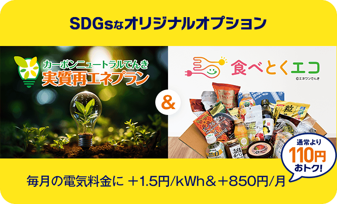 SDGsなオリジナルオプション 毎月の電気料金に +1.5円/kWh & +850円/月