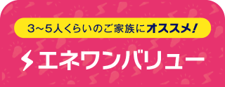 3～5人くらいのご家族にオススメ！ エネワンバリュー