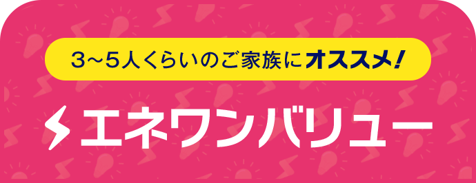 3～5人くらいのご家族にオススメ！ エネワンバリュー