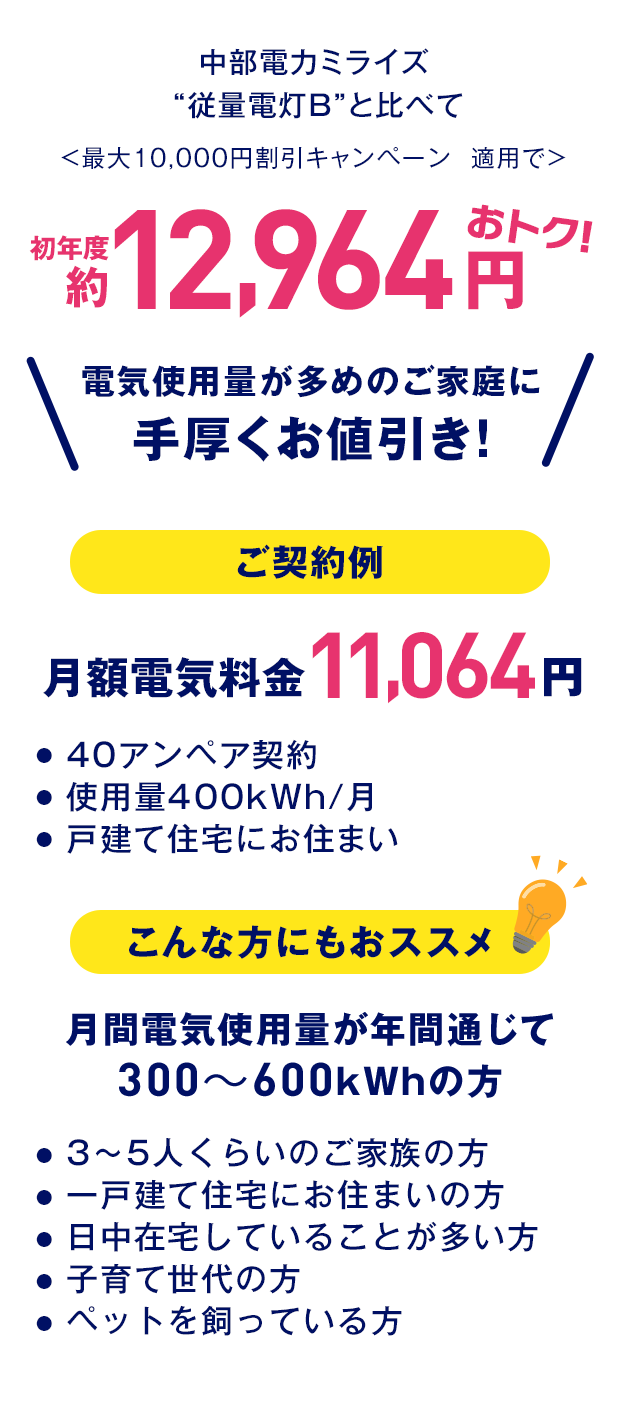 エネワンバリュー詳細
