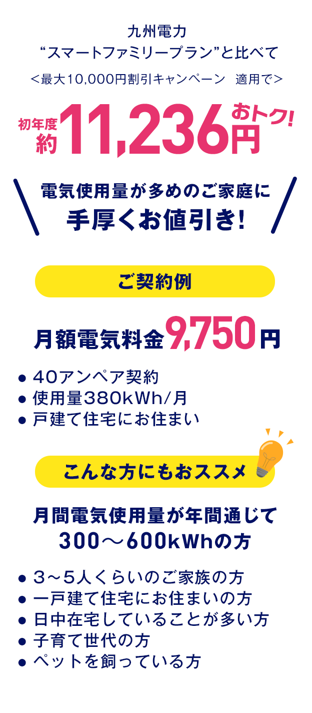 エネワンバリュー詳細