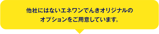 他社にはないエネワンでんきオリジナルのオプションをご用意しています。