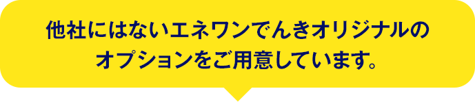 他社にはないエネワンでんきオリジナルのオプションをご用意しています。