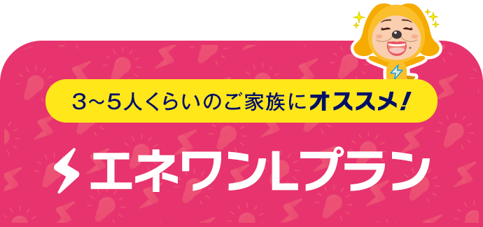 3～5人くらいのご家族にオススメ！ エネワンバリュー