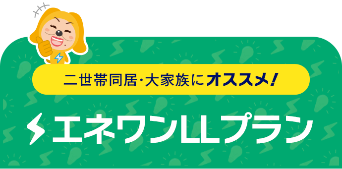 二世帯同居・大家族にオススメ！ エネワンダフル