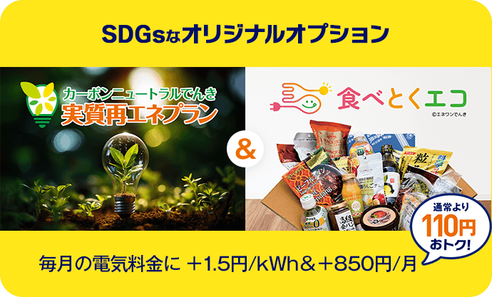 SDGsなオリジナルオプション 毎月の電気料金に ＋1.5円/kWh & +850円/月