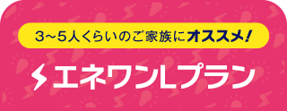 3～5人くらいのご家族にオススメ！ エネワンバリュー