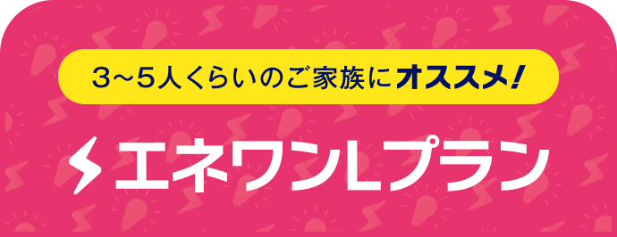 3～5人くらいのご家族にオススメ！ エネワンバリュー
